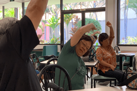 elderly stretching while sitting in chairs